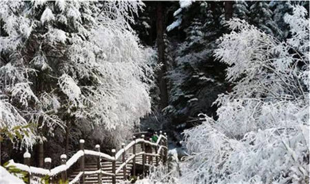 原來(lái)河南大雪過后這么美